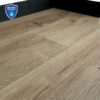 DF-64083 Zeeschelp eiken