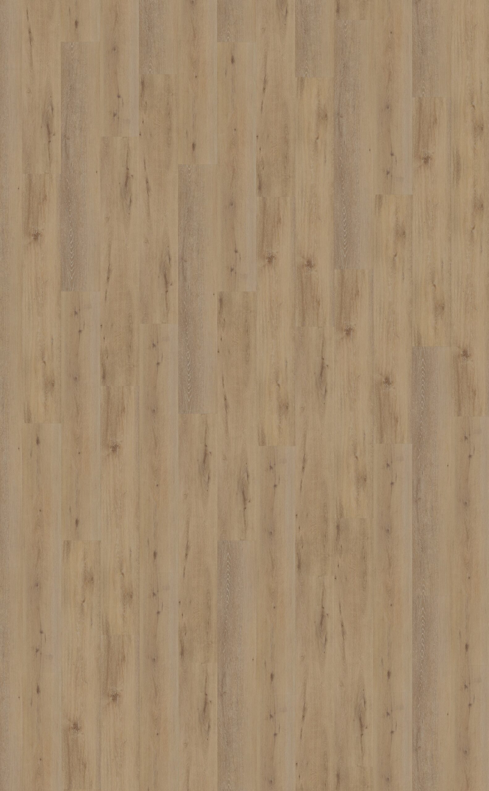 Belakos Attico 800 – rechte plank vloer in bruin – foto 1