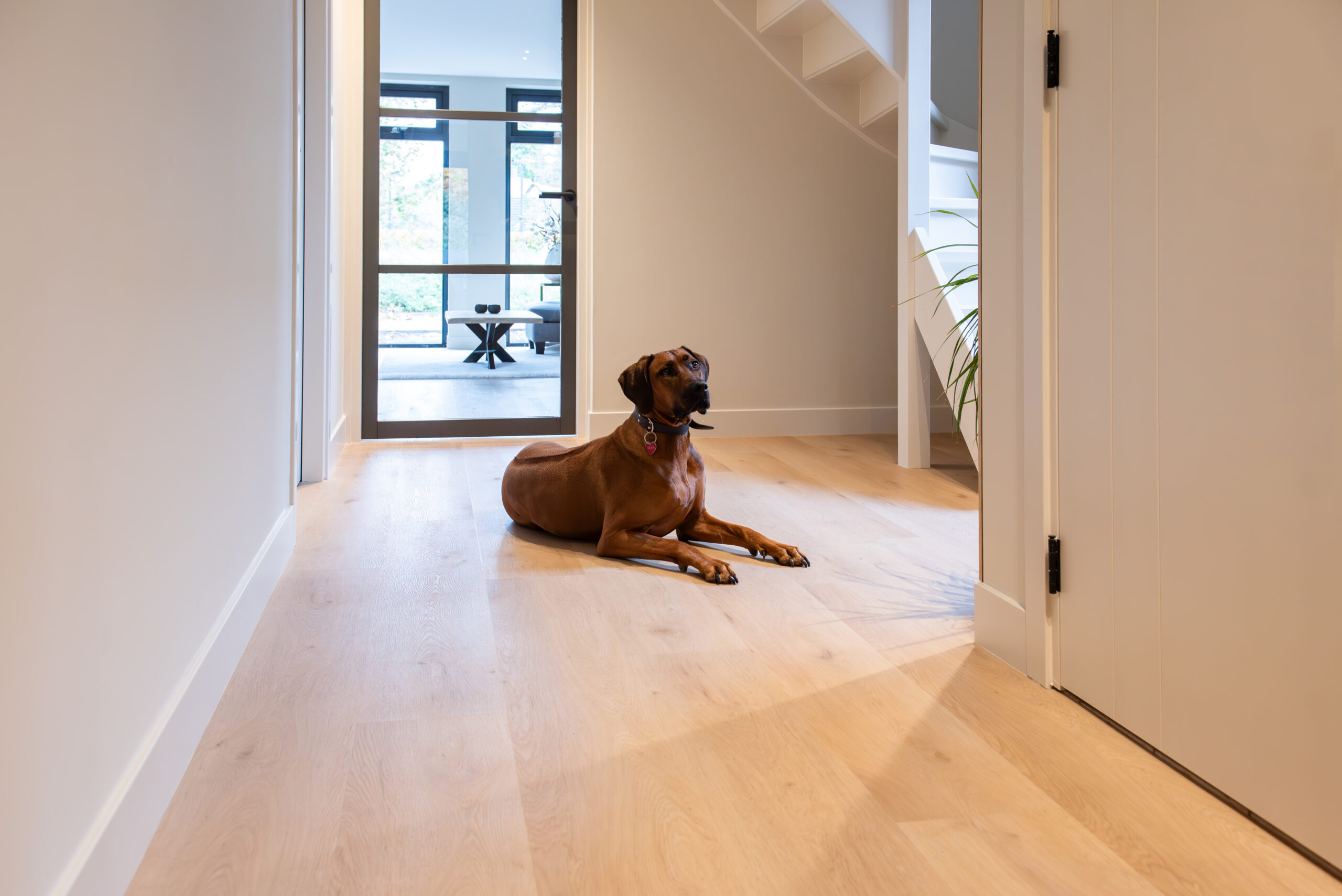 Belakos Attico 870 – rechte plank vloer in bruin – foto 5